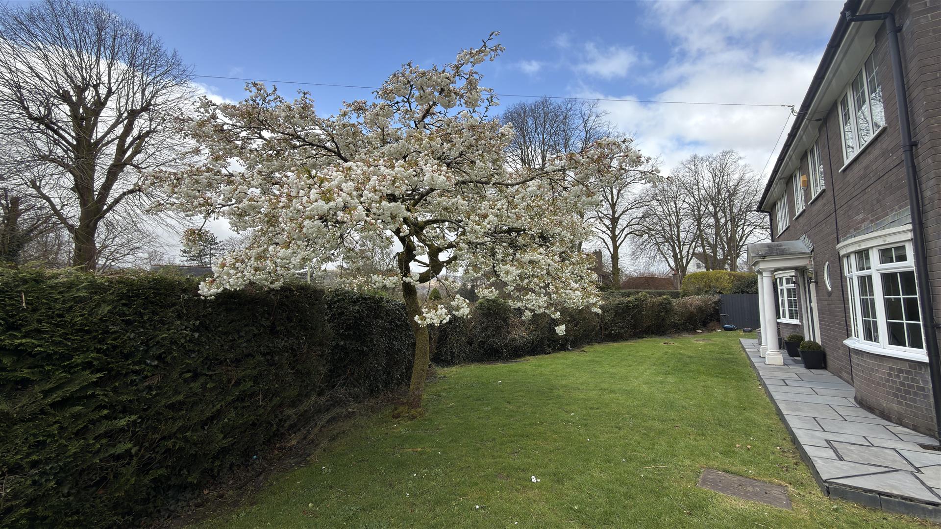 Maes Yr Helig, Aberdare - IMG_9485.jpg